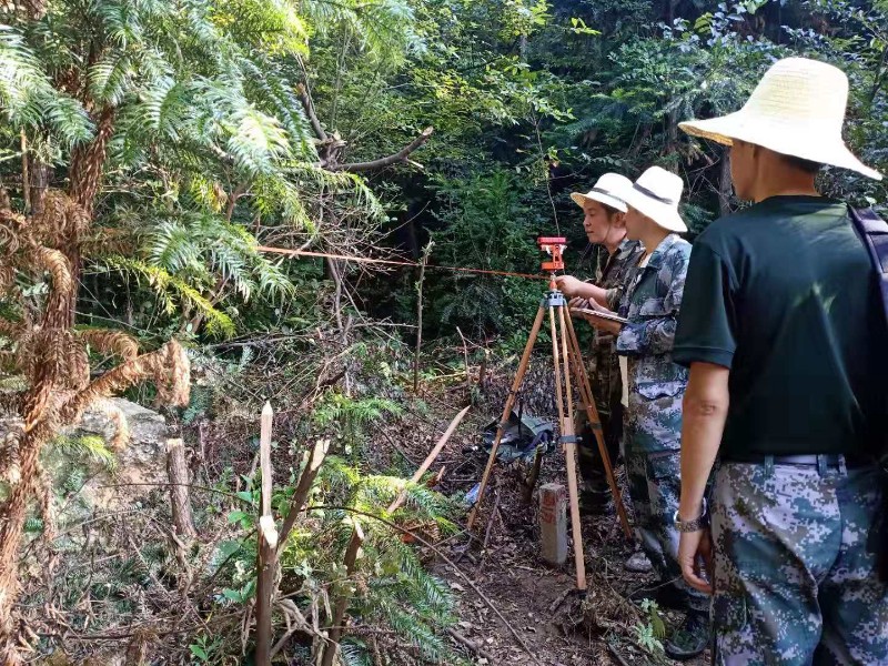 省林业规划院在丰城调研指导森林资源二类调查遥感监测技术工作