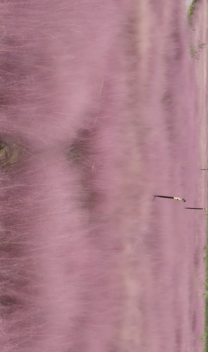 微信圖片_2025-09-09_095039_385(1).png