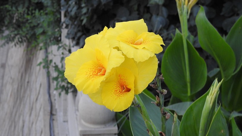 DSCN0644_看圖王