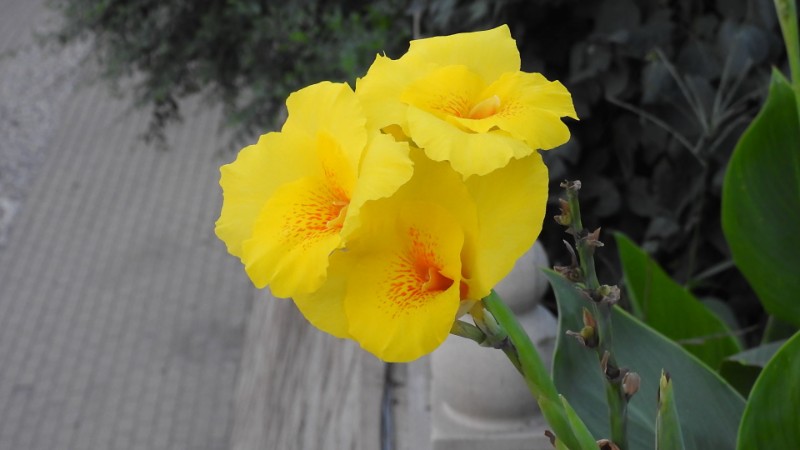 DSCN0646_看圖王