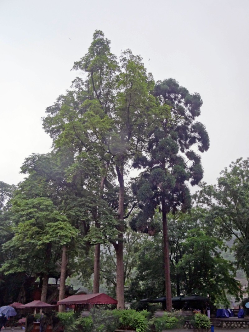 DSC01526_看圖王