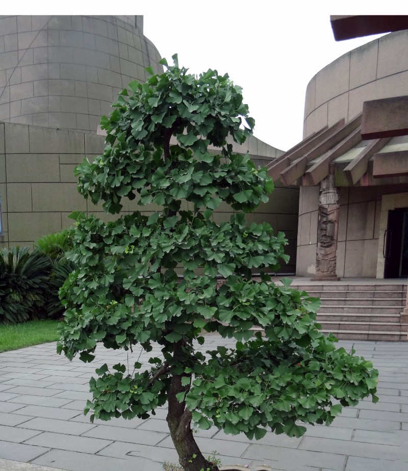DSC01472_看圖王