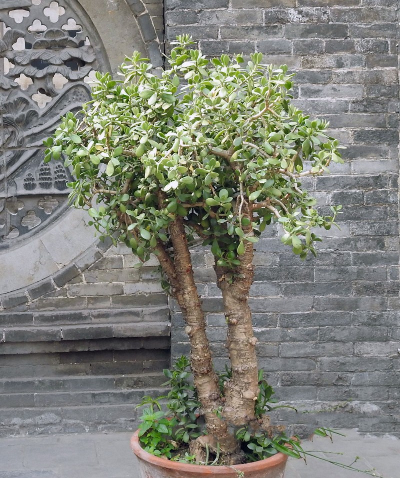 DSCN3672_看圖王_副本