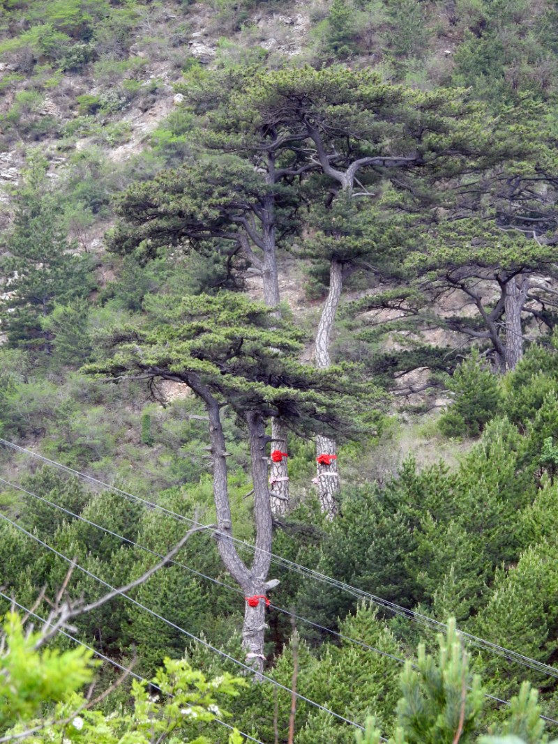 DSCN2263_看圖王