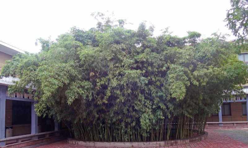DSC03089_看圖王_副本