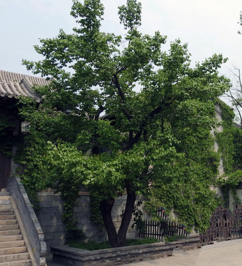 DSCN8358_看圖王_副本