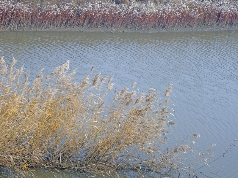 DSC05477_看圖王