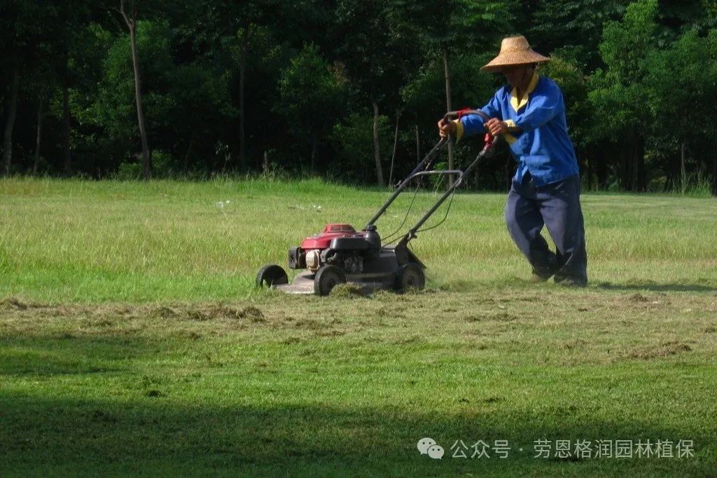 草坪九月管养措施(图1)