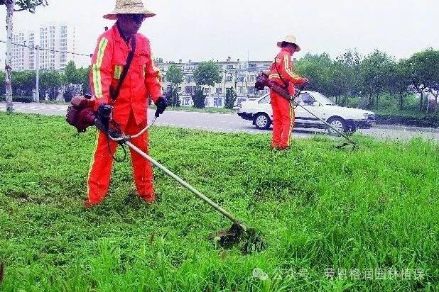 草坪九月管养措施(图2)
