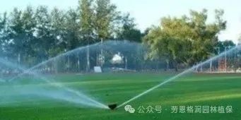 草坪九月管养措施(图3)