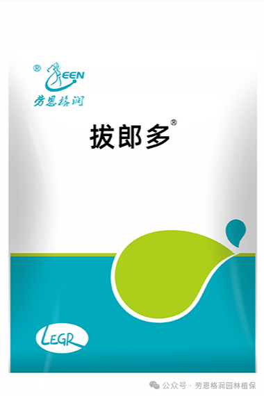 草坪九月管养措施(图6)