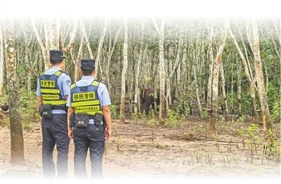 接警后，民警迅速抵達(dá)現(xiàn)場(chǎng)進(jìn)行警戒。馬興立 攝
