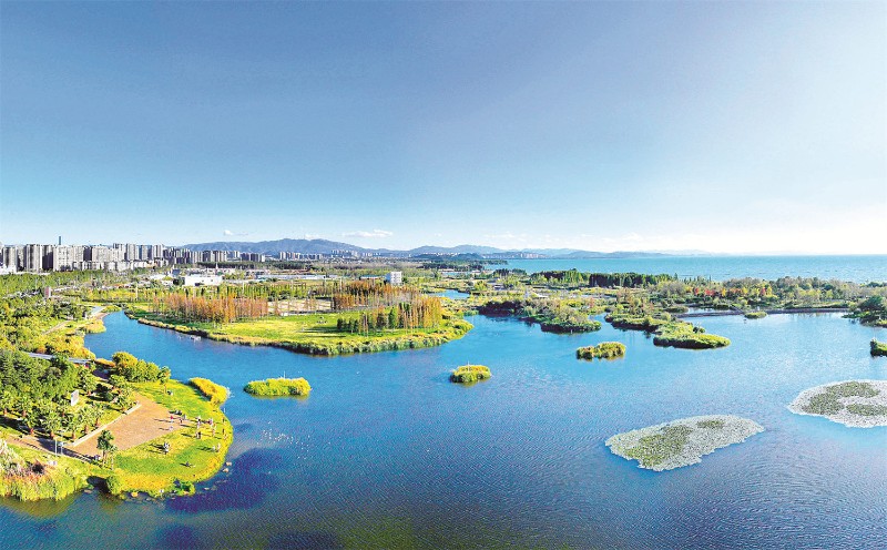 環(huán)境優(yōu)美的斗南濕地公園。周密 攝