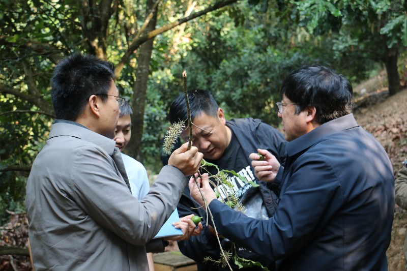 臨翔區(qū)依托院士團(tuán)隊(duì)為堅(jiān)果科技賦能 龔子雷攝