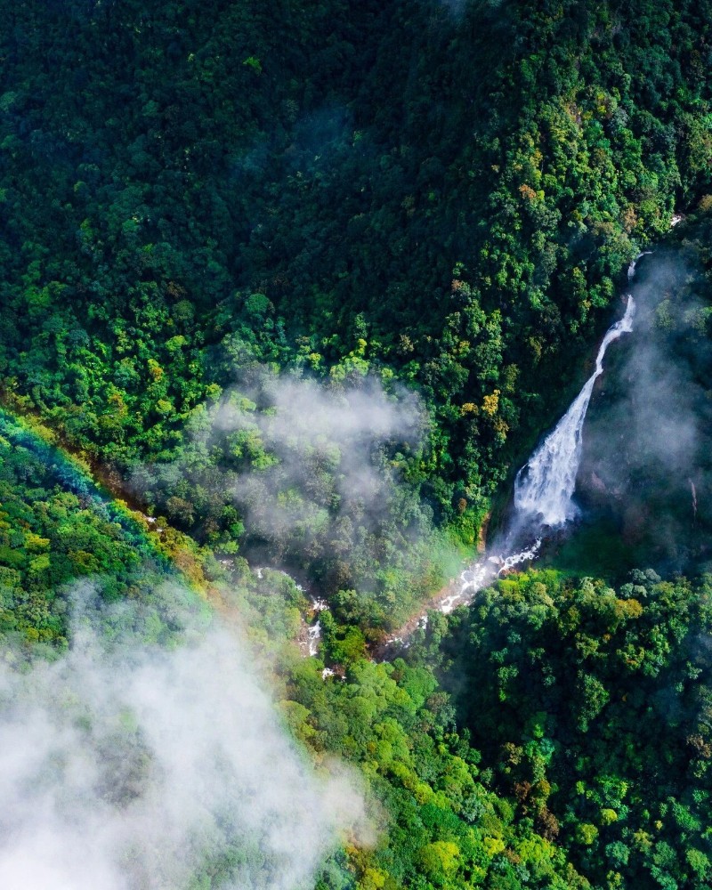 水汽氤氳的哀牢山