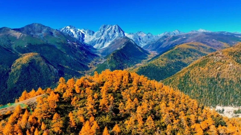 李春雷 攝
