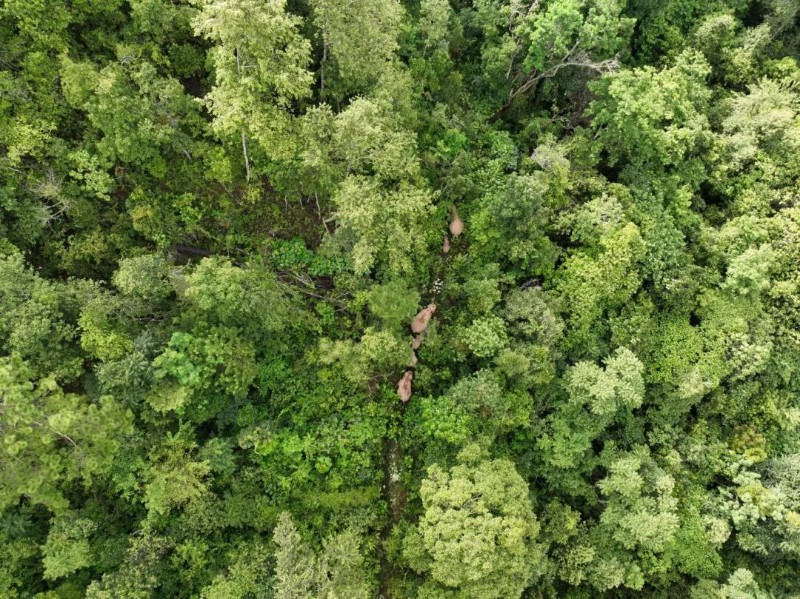 DJI_0424_副本.jpg