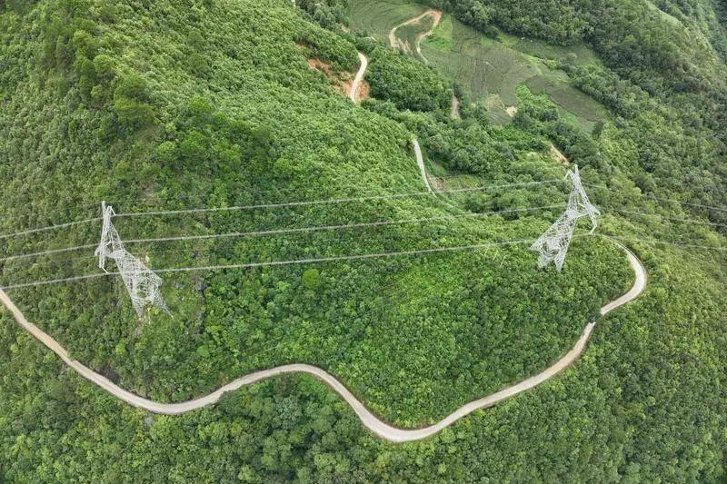 麻栗坡縣人工造林工程成效顯著。