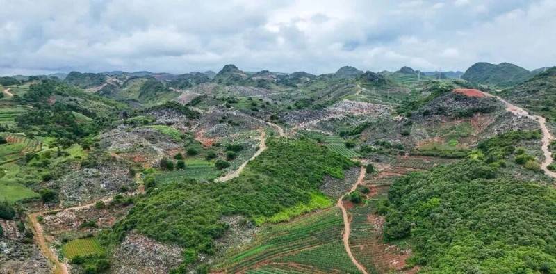 文山市融媒體中心 供圖