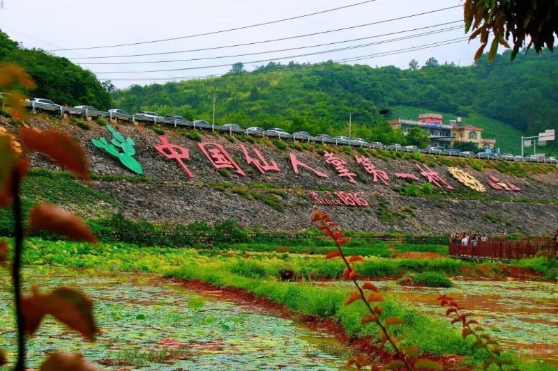 文山市融媒體中心 供圖