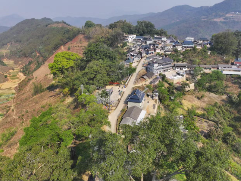 普洱思茅茨竹林村芒壩村民小組全景。楊環(huán) 攝