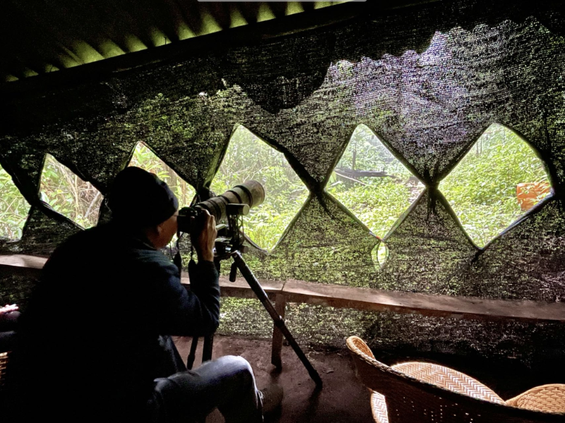 攝影愛(ài)好者在鳥(niǎo)塘拍攝。趙曉元 羅嘉 攝