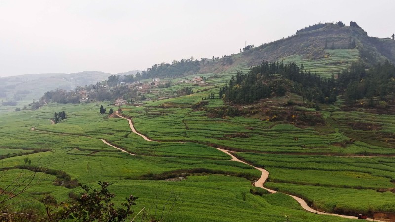 小河水養(yǎng)育的農(nóng)田