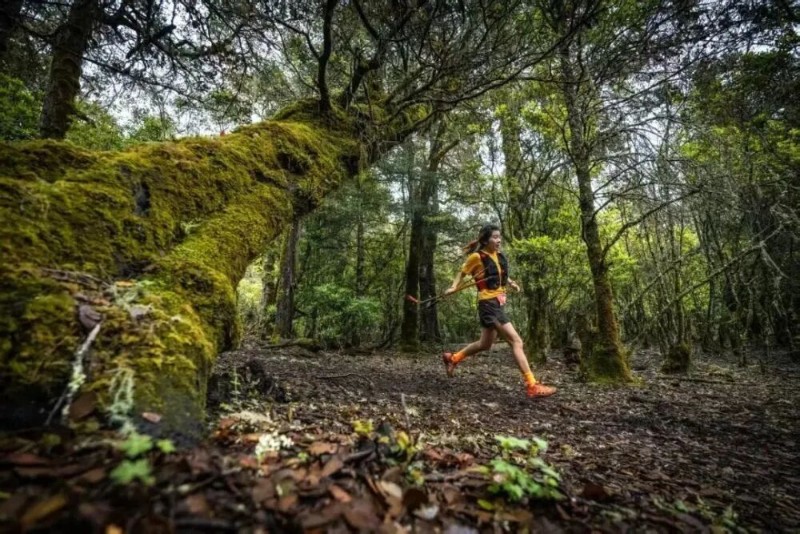 玉龍雪山極限越野賽。麗江市委宣傳部 供圖