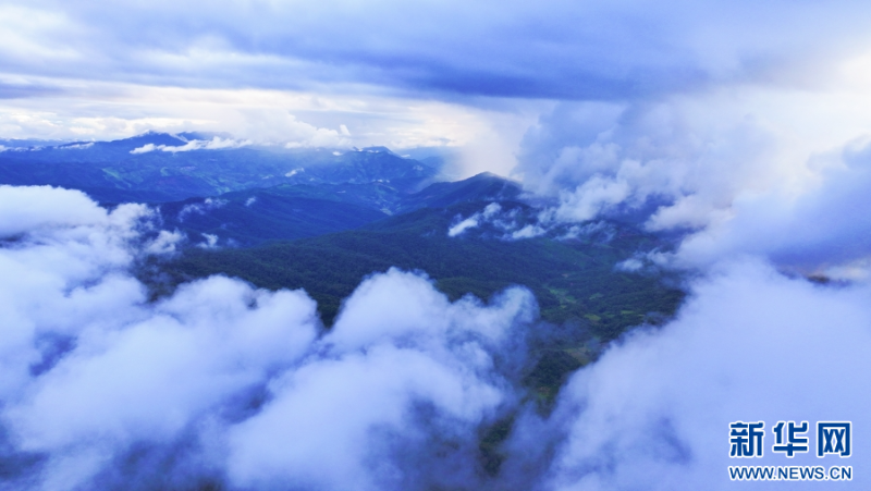 布朗山云海（11月1日攝）。新華網(wǎng) 趙普凡 攝