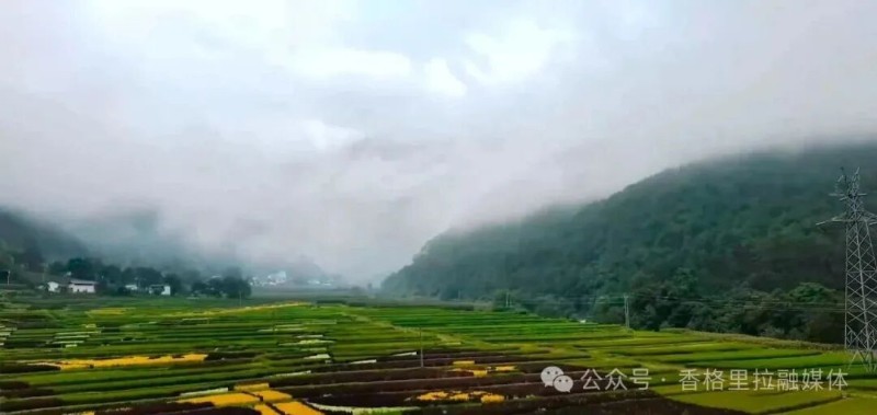 圖片來源:香格里拉市融媒體中心