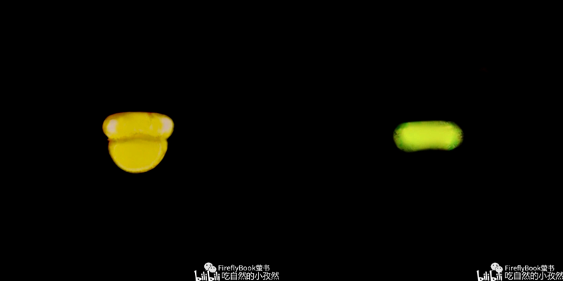 ScreenShot_2026-08-02_203809_813.png