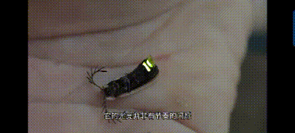 lv_0_20260801230738.gif