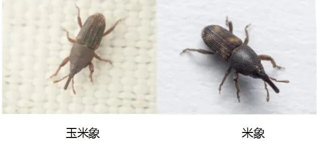 微信截图_20250305104019.png