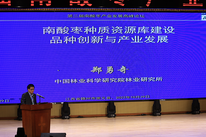 第二届南酸枣产业发展高峰论坛于赣州崇义举行08