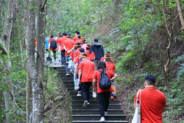 够野你就来——2024中国南酸枣之乡旅游文化音乐节&齐云山登山节圆满落幕 08