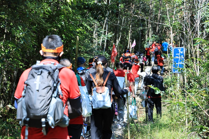 够野你就来——2024中国南酸枣之乡旅游文化音乐节&齐云山登山节圆满落幕 54