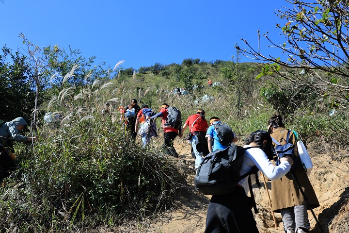 夠野你就來——2024中國南酸棗之鄉(xiāng)旅游文化音樂節(jié)&齊云山登山節(jié)圓滿落幕 57