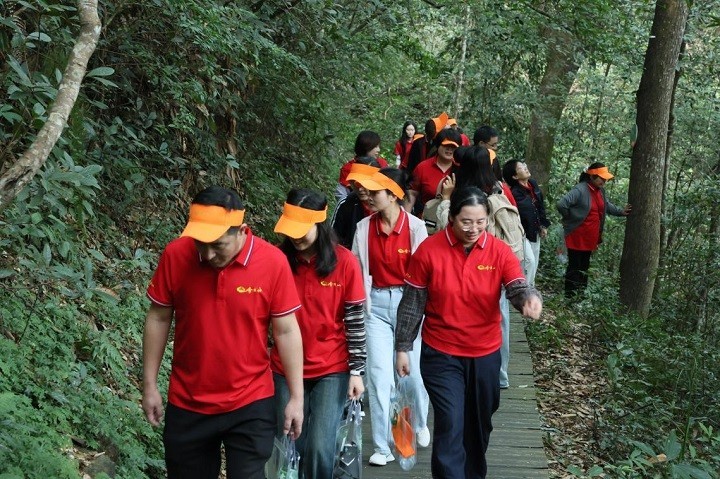 【全程回顾】2025中国南酸枣之乡旅游文化音乐节&齐云山登山节圆满收官 09.jpg