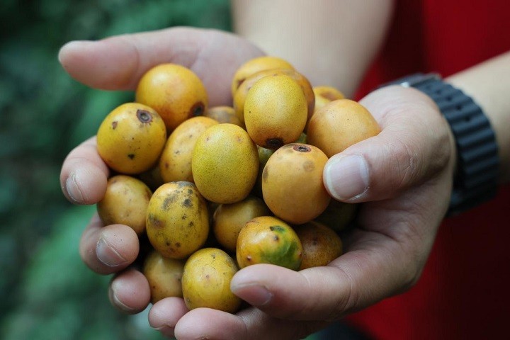 【全程回顾】2025中国南酸枣之乡旅游文化音乐节&齐云山登山节圆满收官 11.jpg