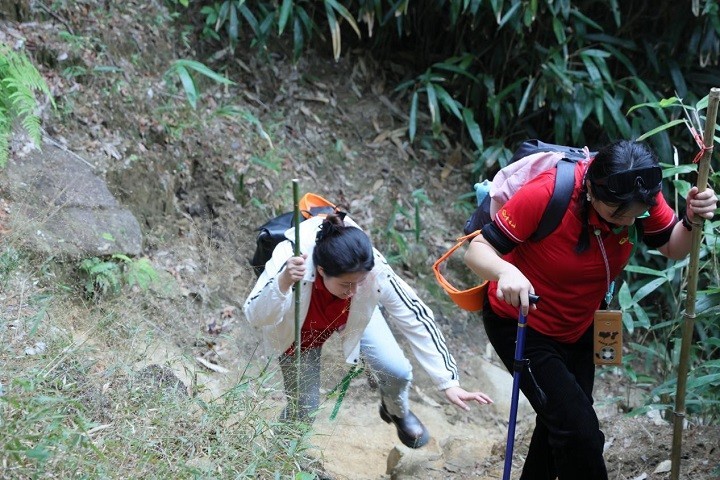 【全程回顾】2025中国南酸枣之乡旅游文化音乐节&齐云山登山节圆满收官 34.jpg