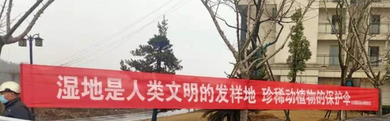 360截圖20210201153559785
