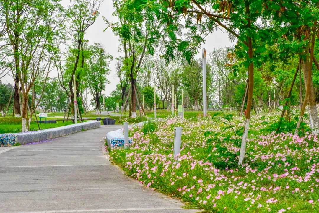 锦江公园城市 | “生态项链”上有什么?跟着“观察员”来探秘~ - 关注森林