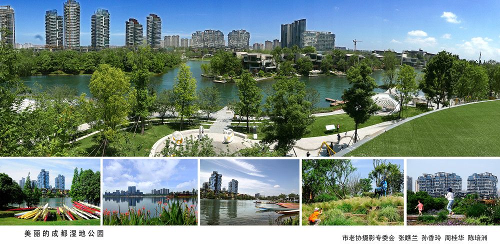 公园城市,秀美成都——成都市老年人协会摄影专委会线上摄影展2 - 关注森林