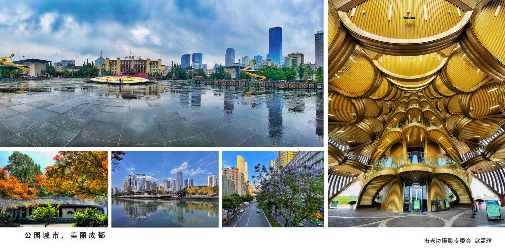 公园城市,秀美成都——成都市老年人协会摄影专委会线上摄影展2 - 关注森林