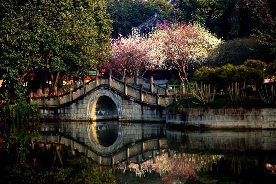 成都“最美公园”公布 看看你家门口的公园入选了吗? - 关注森林