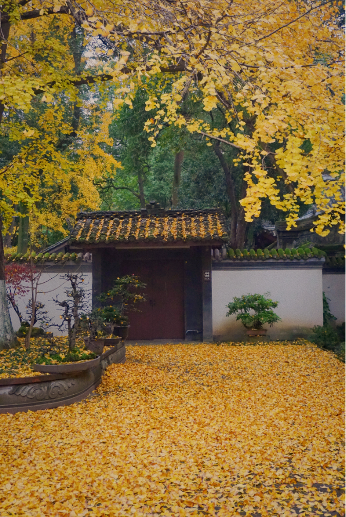 它们,守护成都上千年! _www.isenlin.cn