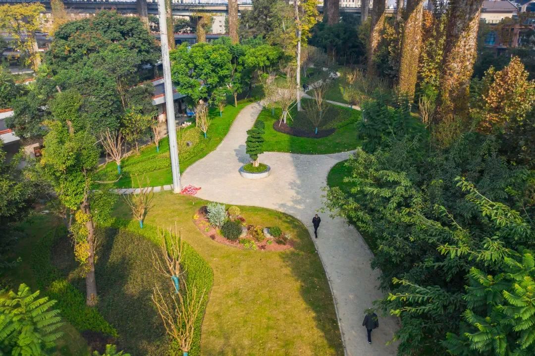 公园城市2023｜1833万㎡新增绿地拓展城市绿色空间 _www.isenlin.cn