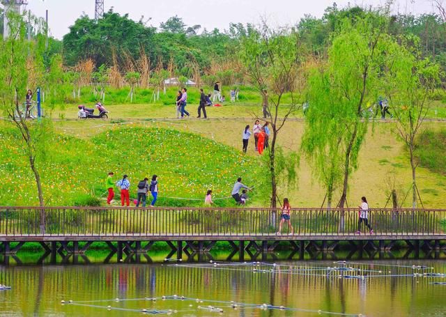 成都今年绿道将突破8000公里 建成公园60+ _www.isenlin.cn
