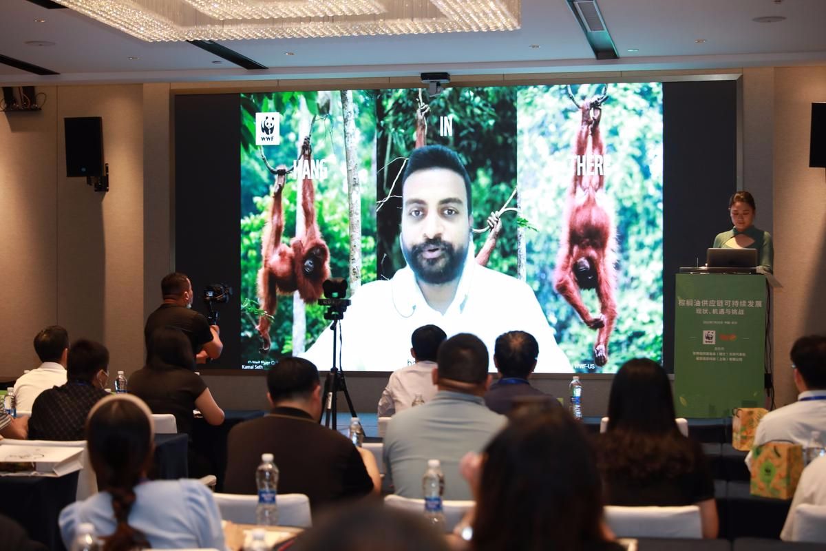 WWF全球可持续棕榈油项目总监 Kamal Seth视频致辞.jpg