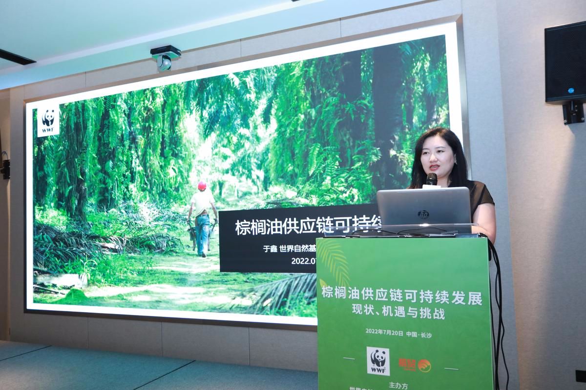 WWF北京代表处可持续食物消费与绿色供应链项目主任于鑫发言.jpg